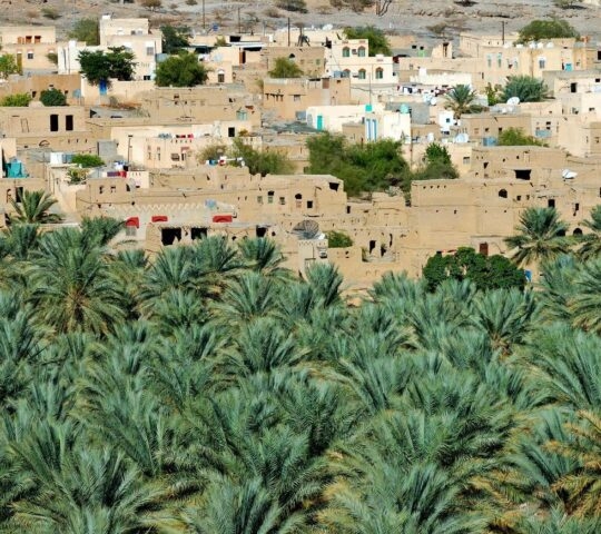The village of Al Hamra, Oman with palm trees in the foreground
