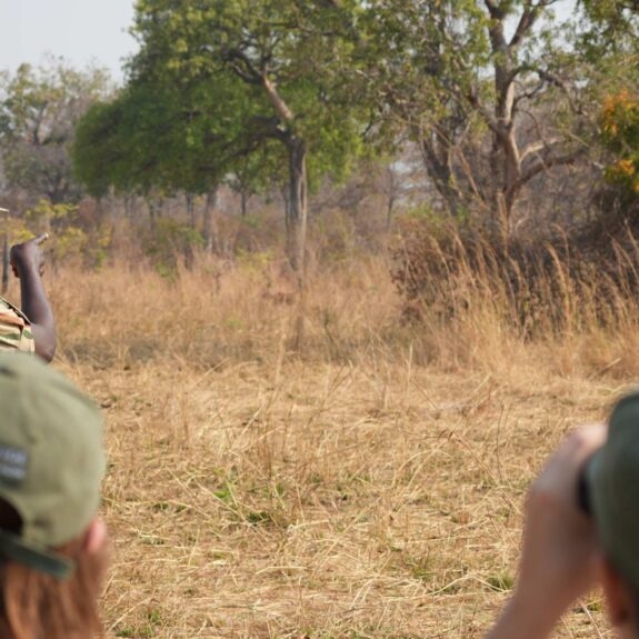 A Guide to Zambia Walking Safaris thumbnail