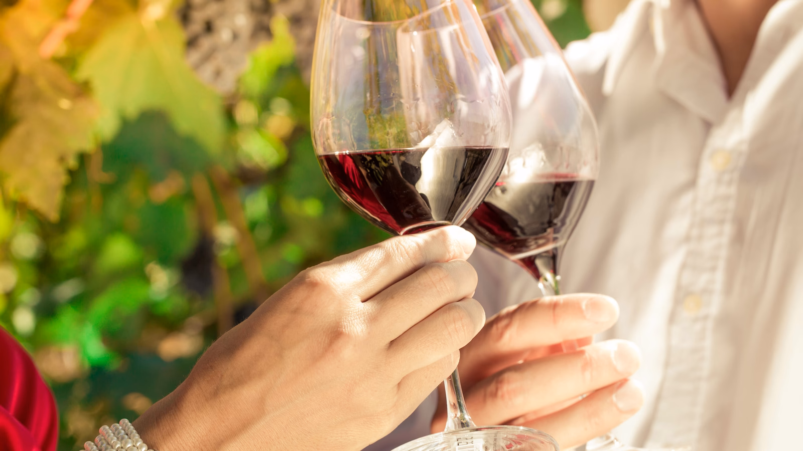 Vintner couple clinking wine glasses in vineyard, close-up