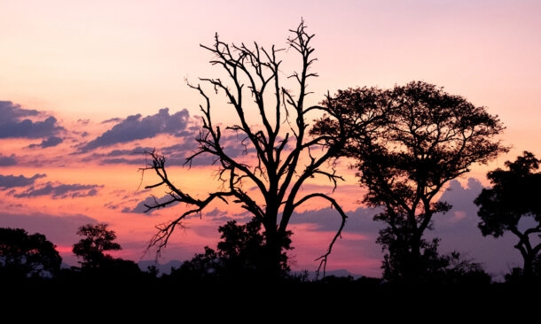 A Romantic Honeymoon to South Africa