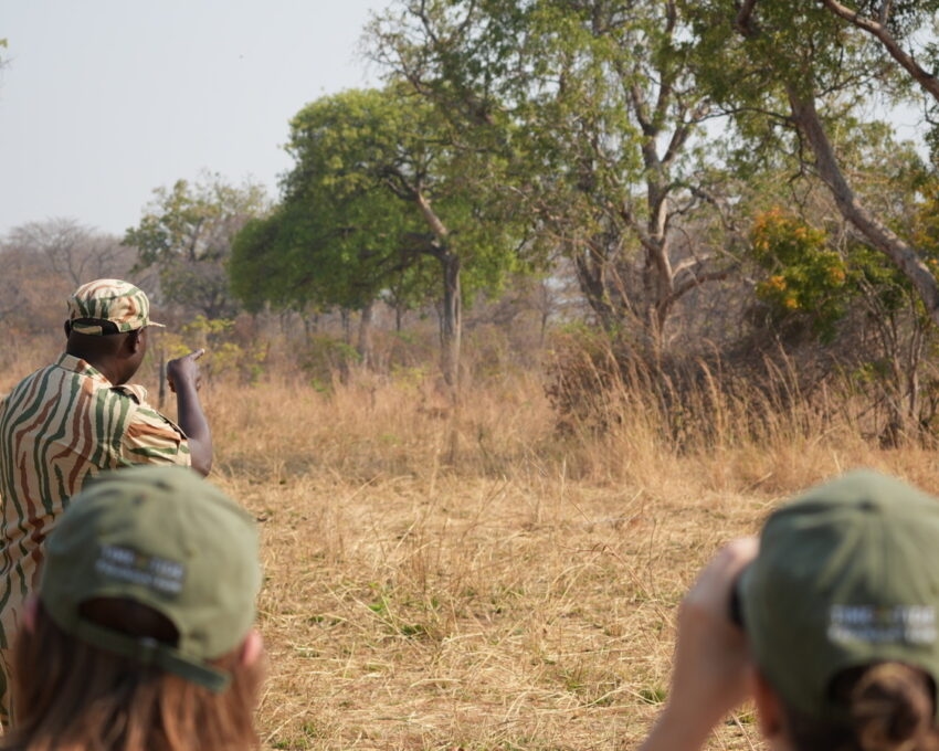 People on a walking safari in Zambia