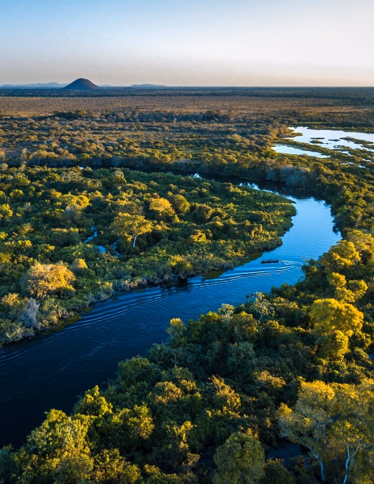 Aerial view of a winding blue river cutting through dense green forest during luxury private Pantanal tours.