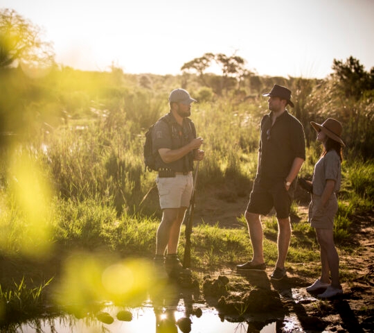 Three people outdoors near a waterhole with sunlight filtering through trees.