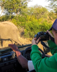 A Malaria-Free Family Wildlife Exploration