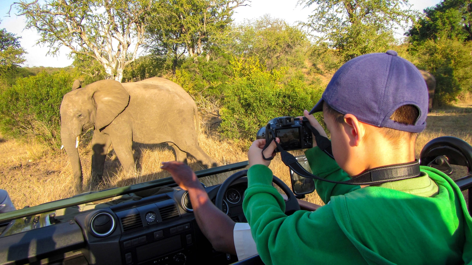 Photographer taking safari pictures in Kruger NP, South Africa
