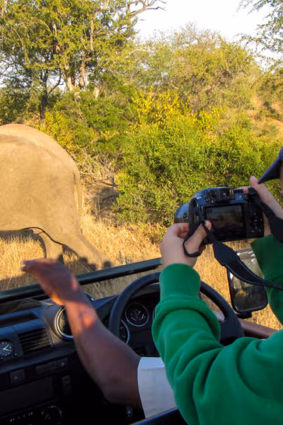 A Malaria-Free Family Wildlife Exploration to South Africa