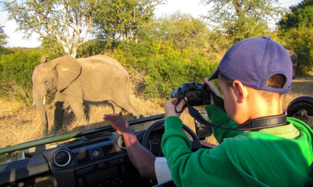 A Malaria-Free Family Wildlife Exploration to South Africa