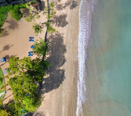 Aerial view of a sunny tropical beach with palm trees, sun loungers, and clear blue water.