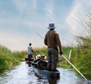 People on a narrow boat being poled through reeds under a blue sky.