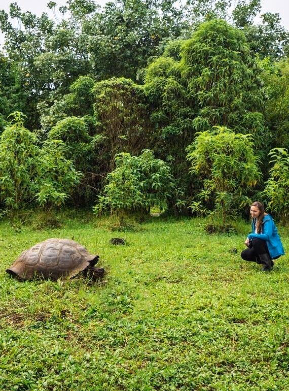 A woman crouched near a large giant tortoise in a grassy field with Jacada.