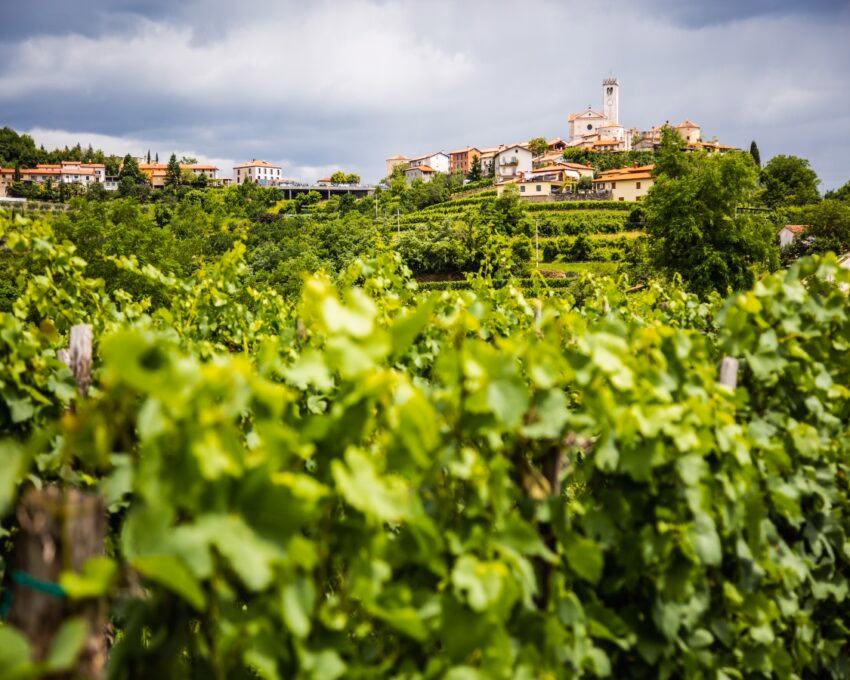 Smartno medieval village in Goriska Brda region, Slovenia.