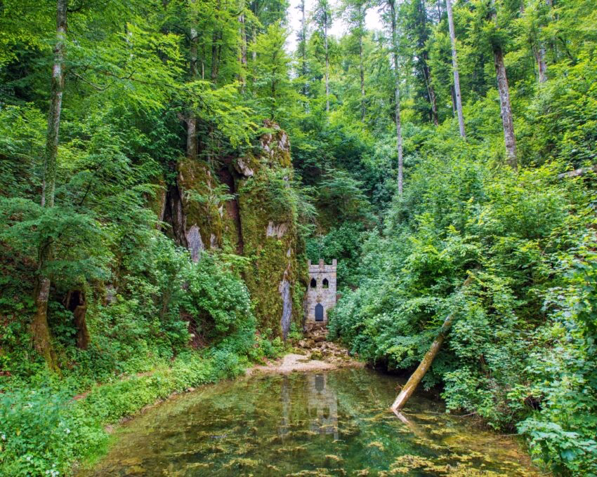 Lush green forest with a stone tower beside a calm pond.