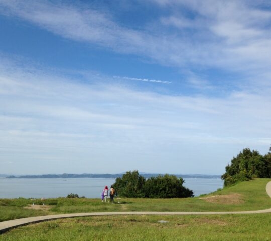 Winding path through a green field leading to a wide ocean bay under a blue sky.