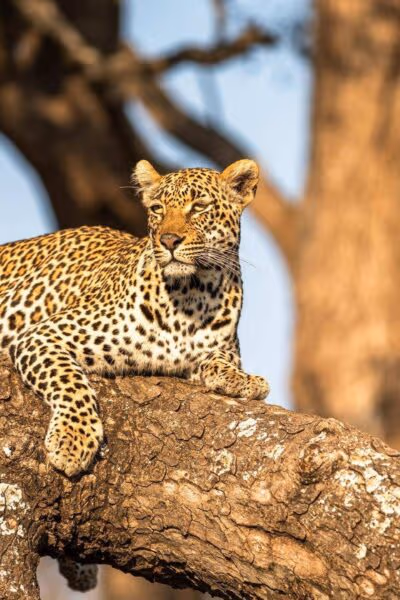 An Awe-Inspiring Journey to Namibia and South Africa