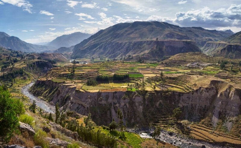 View of terraced fields and Colca river in Colca Canyon in south