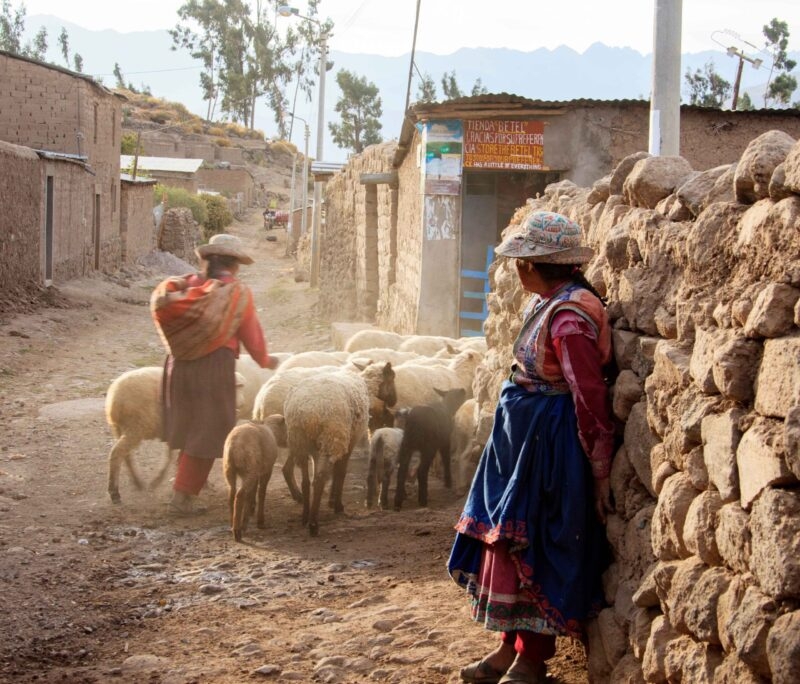 Women in traditional attire herding sheep in a dusty rural village street.