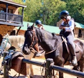 A person in equestrian attire riding a black horse near a wooden fence.