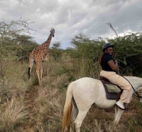 Person on a white horse observing a giraffe in a grassy field under a cloudy sky.