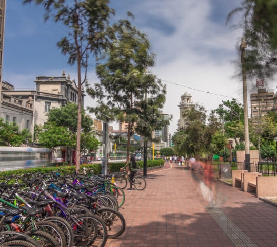 Red cycling track in the Jose Larco avenue and bicycle parking timelapse hyperlapse in Miraflores, Lima Peru. Central park on the right side and traffic on the street