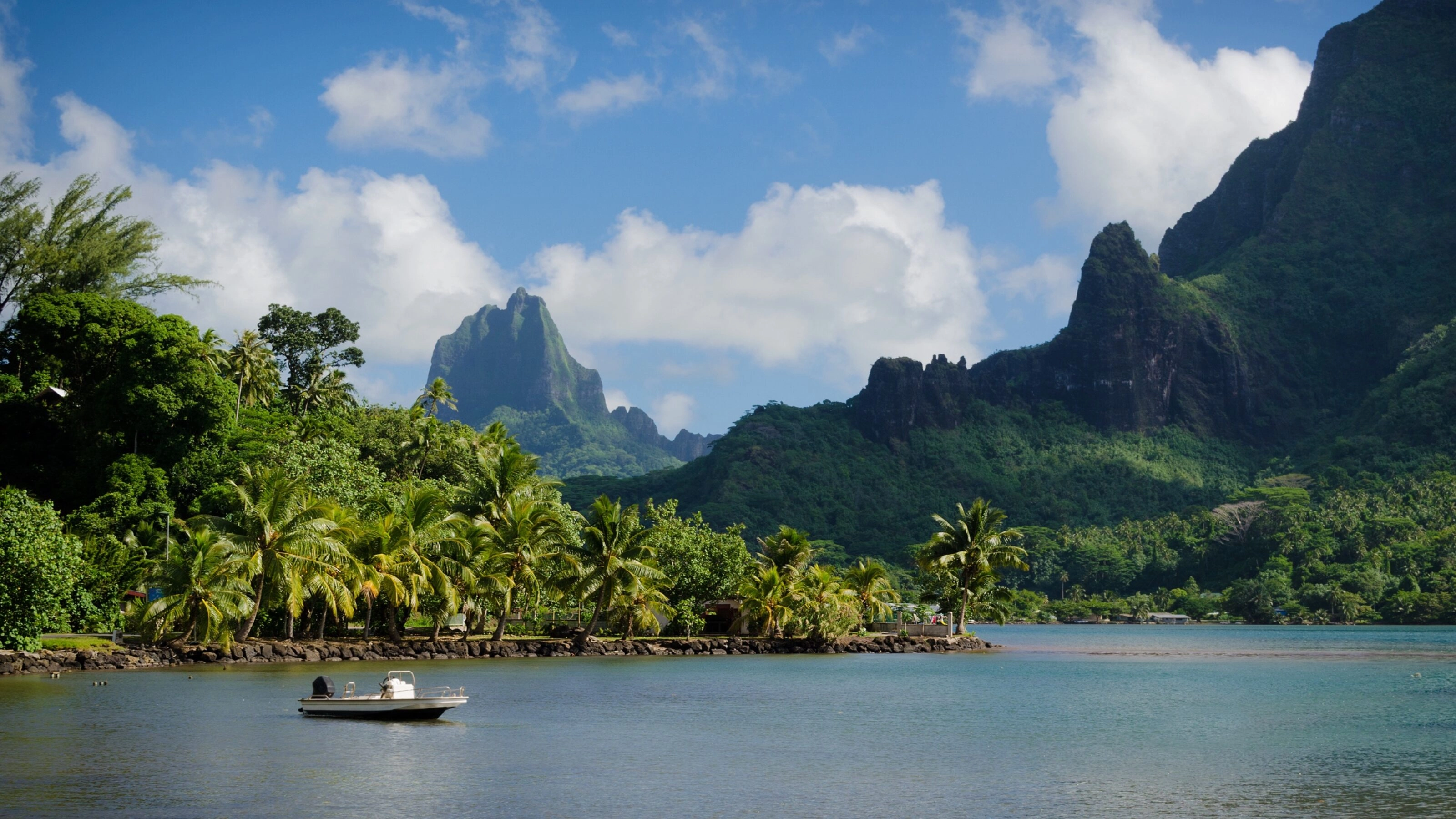 Boat in Cooks Bay with Moua Puta mountain in the background in a green jungle landscape on the tropical island of Moorea, near Tahiti in the Pacific archipelago French Polynesia.