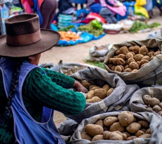 A woman selling potatoes at a market in Cusco