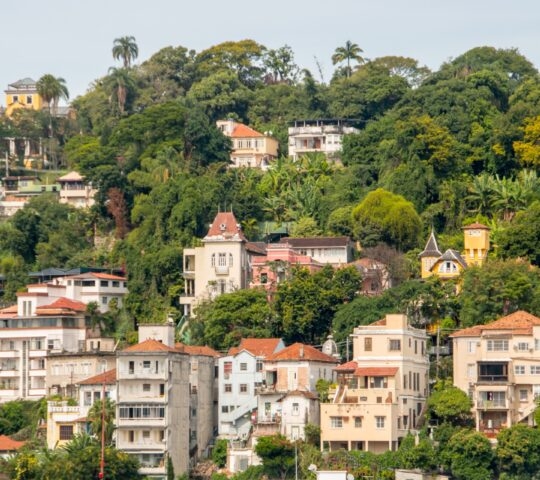 Hillside view of densely packed houses interspersed with lush greenery.