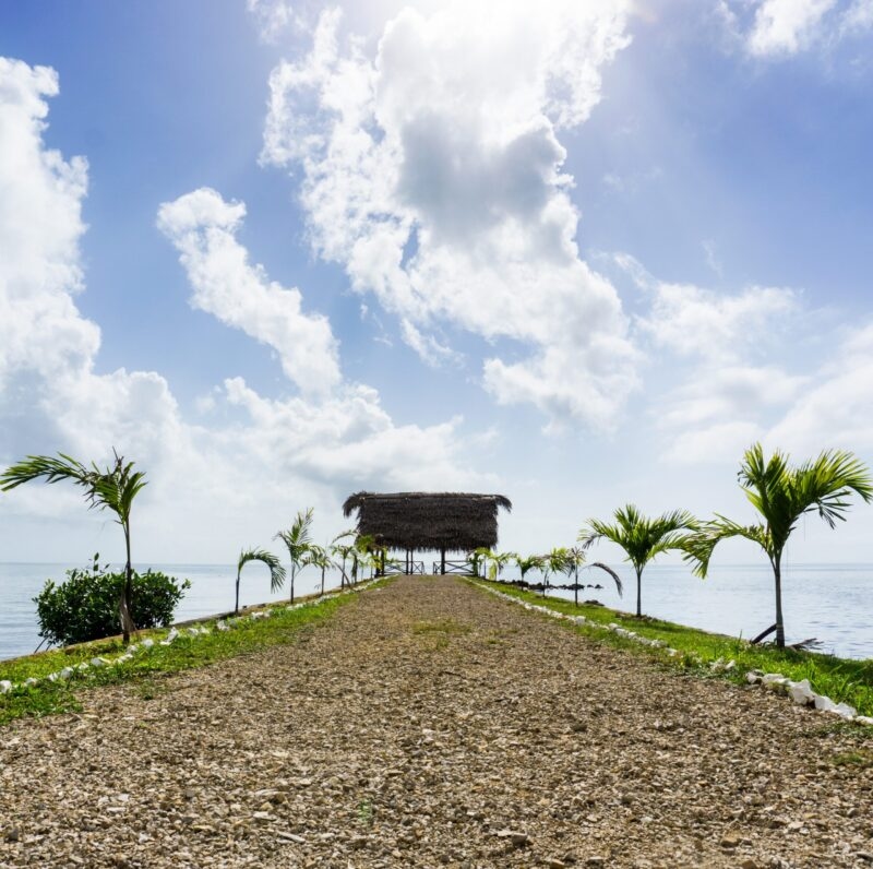 Gravel path leading to a thatched hut by the sea, flanked by young palm trees under a cloud-filled sky.
