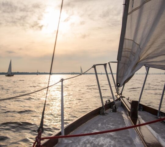 View from a sailboat at sunset with other sailboats on the horizon.