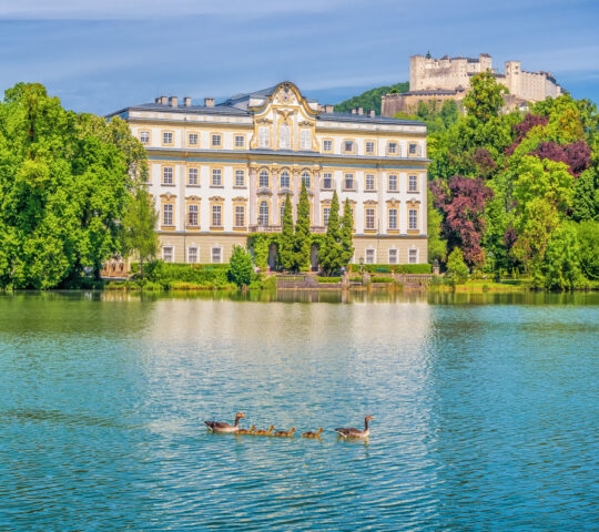 Baroque palace with decorative facade by a lake with a family of geese and a fortress on a hill in the background.