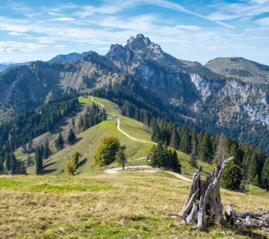 Scenic mountain landscape with a winding path, green foliage, and a blue sky.