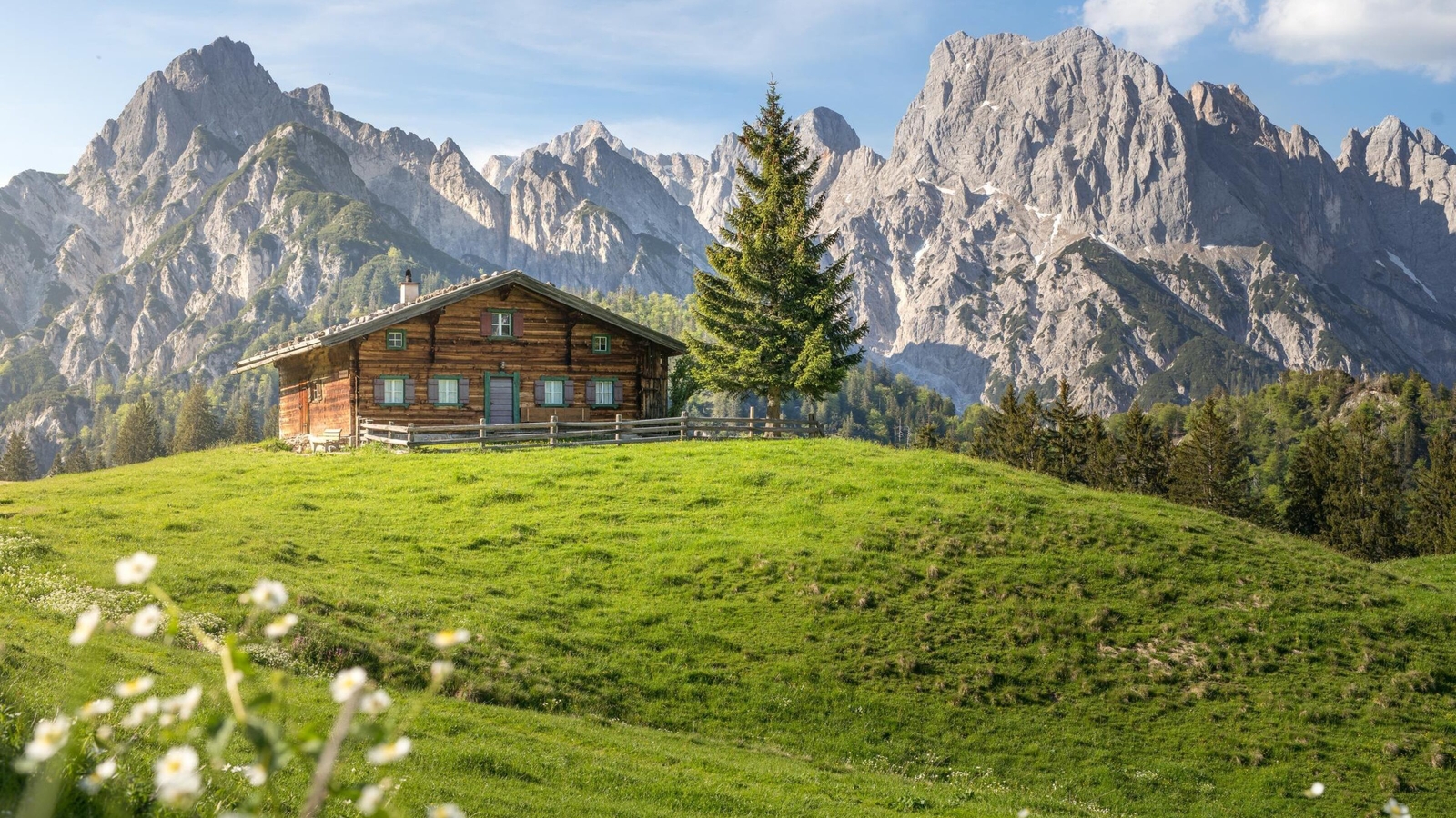 A wooden cabin on a green hill with mountain backdrop and wildflowers in foreground.
