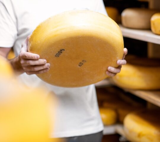 Person holding a large wheel of cheese in a storage room.