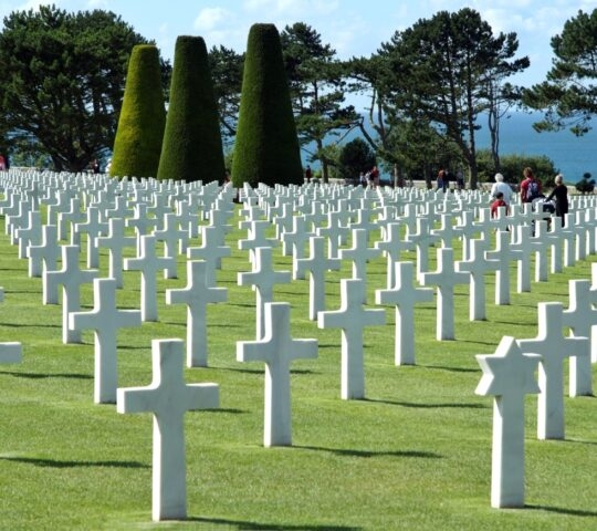 Neat rows of white crosses in a military cemetery on a sunny day, with trees and visitors in the background.