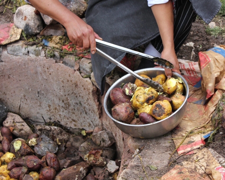 Person cooking potatoes over stones, with tongs holding a potato.