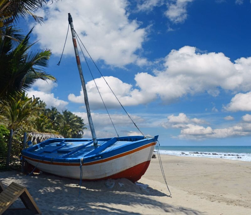 Blue and white sailboat on sandy beach with palm trees and clear blue sky.