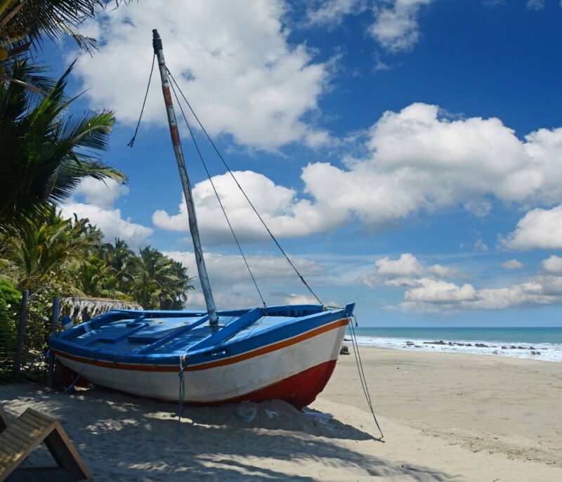 Blue and white sailboat on sandy beach with palm trees and clear blue sky.