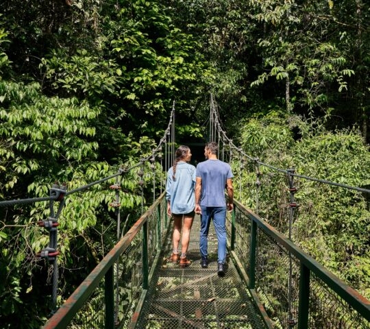 Two people walking across a suspension bridge in a lush forest.