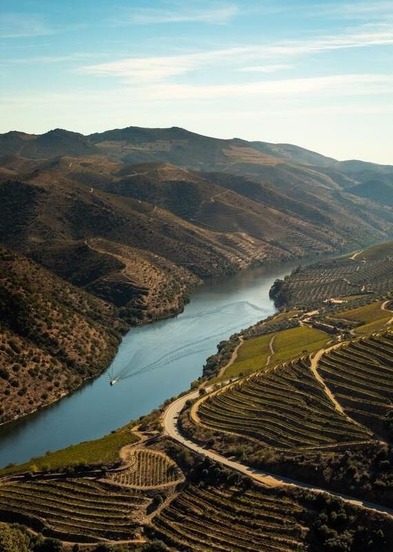 Rolling vineyards oft he Douro Valley flank the Douro river as a boat cruises past