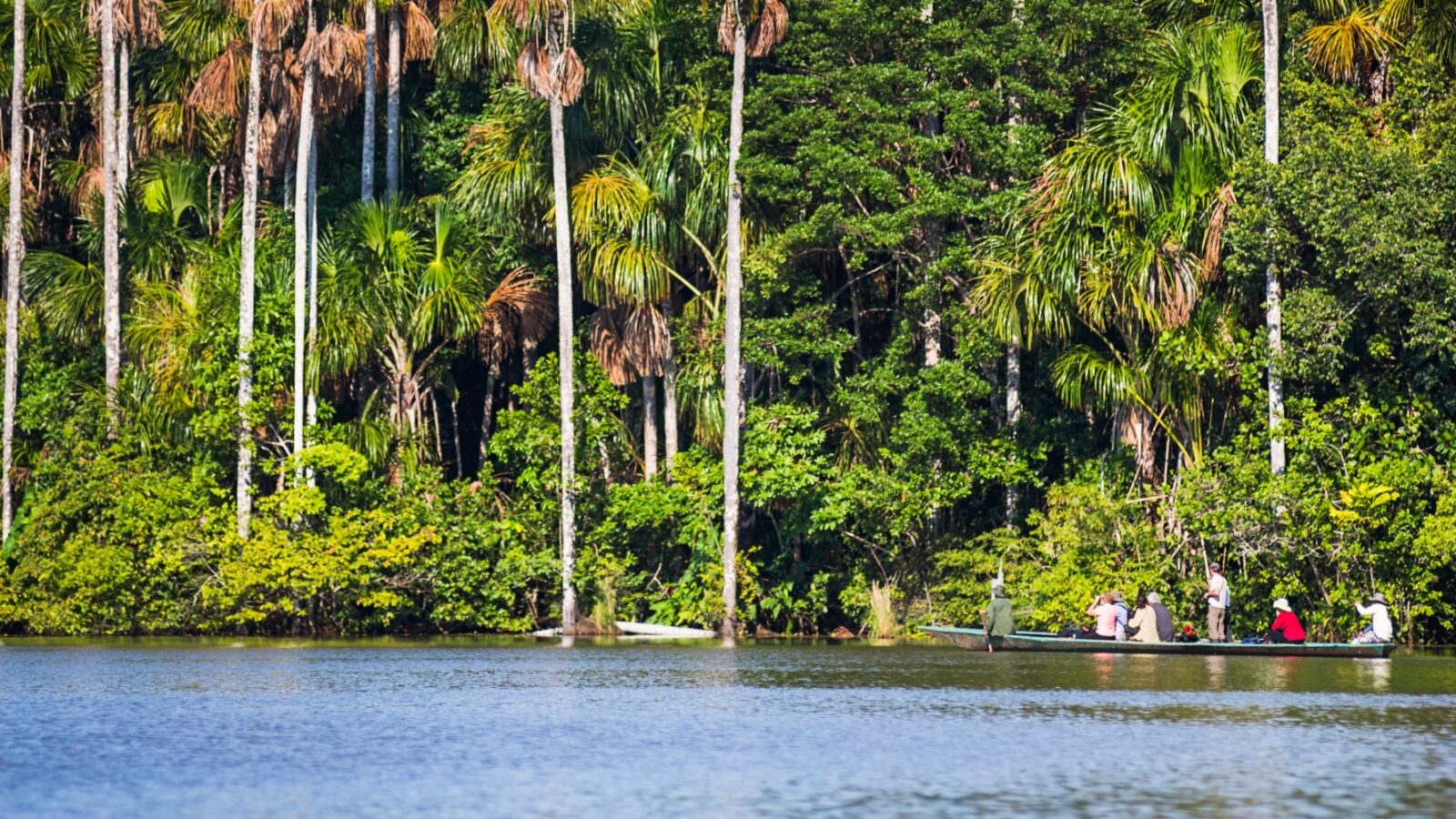 People in boats on a river with tall palm trees and lush greenery in the background.