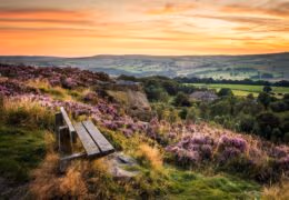 A Quintessential English Journey from London to the Wild North