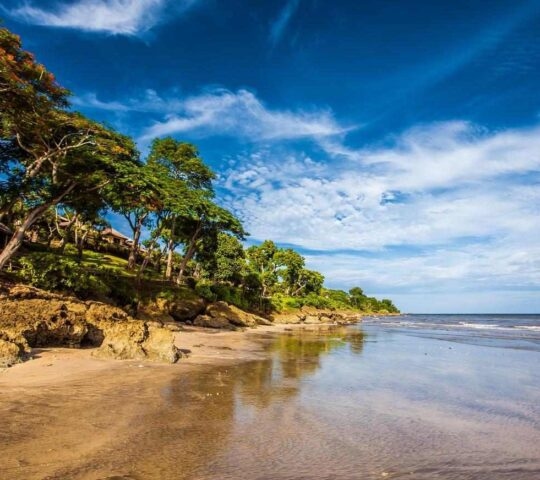 Beach with tropical forest ion Jimbaran, Indonesia