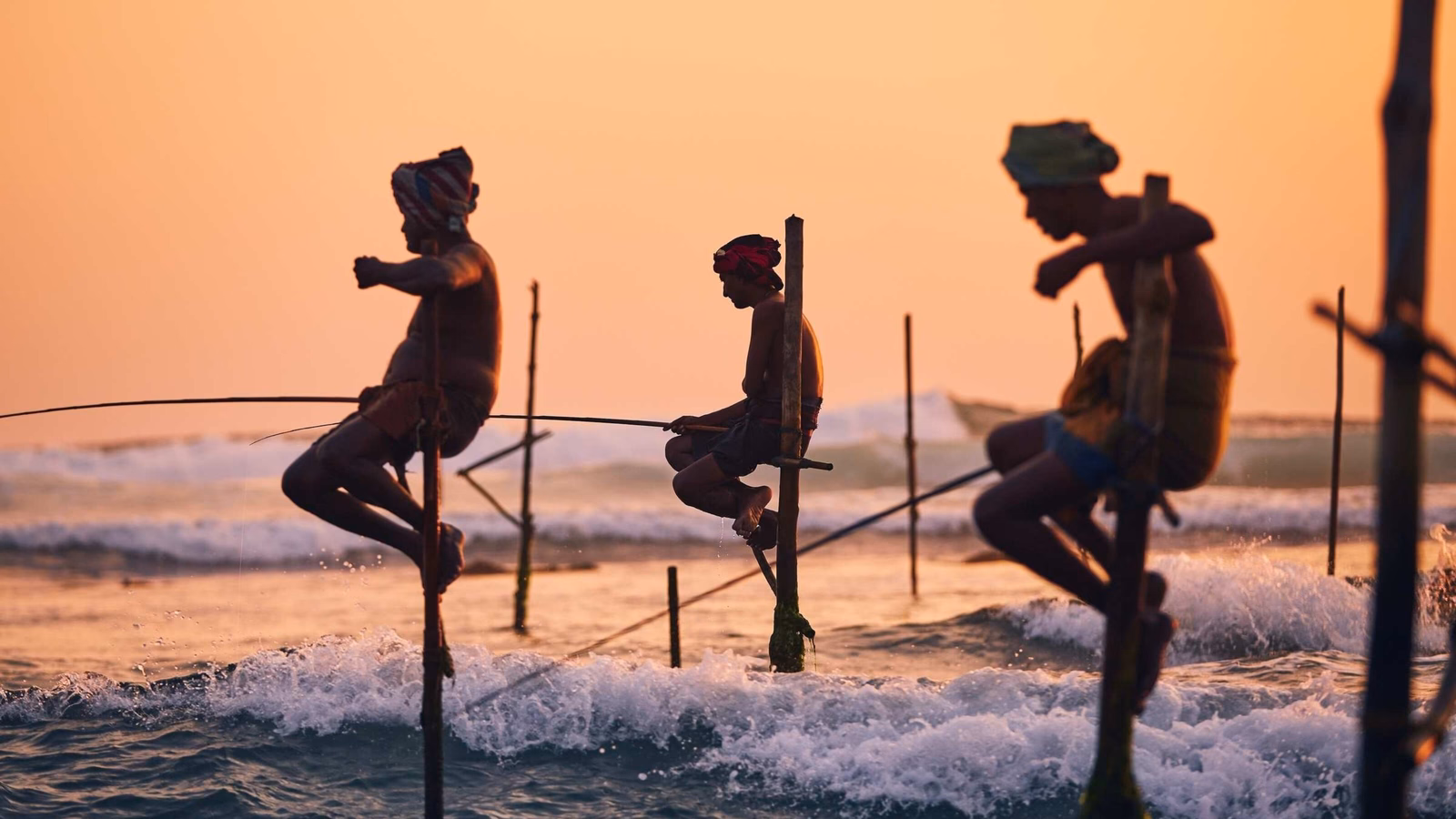 Traditional stilt fishing in Sri Lanka