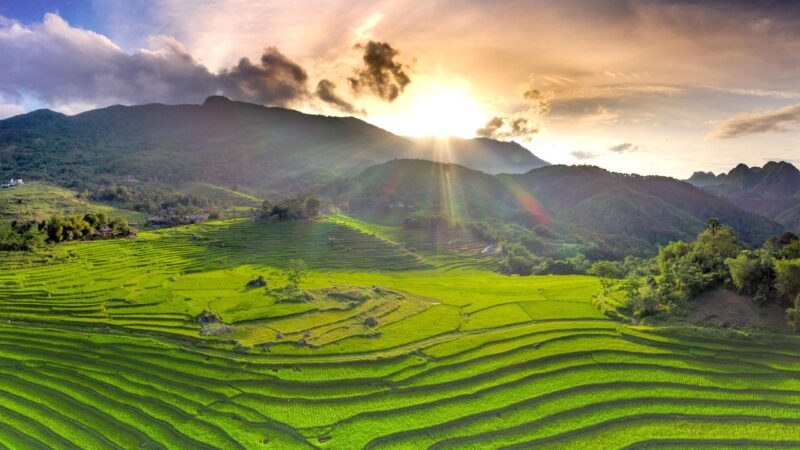 Rice fields in Mai Chau, Vietnam