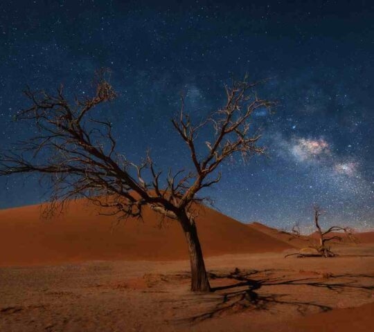 Stargazing in Namibia