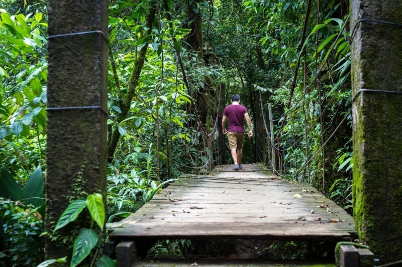 A canopy walk among the trees in Costa Rica