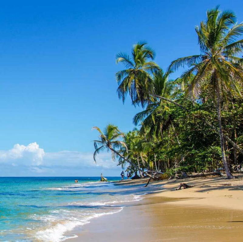 A tropical beach with palm trees in Puerto Viejo, Costa Rica