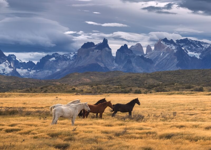 Torres del Paine National Park, Patagonia, Chile