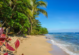 A Caribbean Adventure in Costa Rica