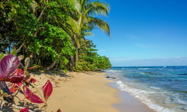 A Caribbean Adventure in Costa Rica