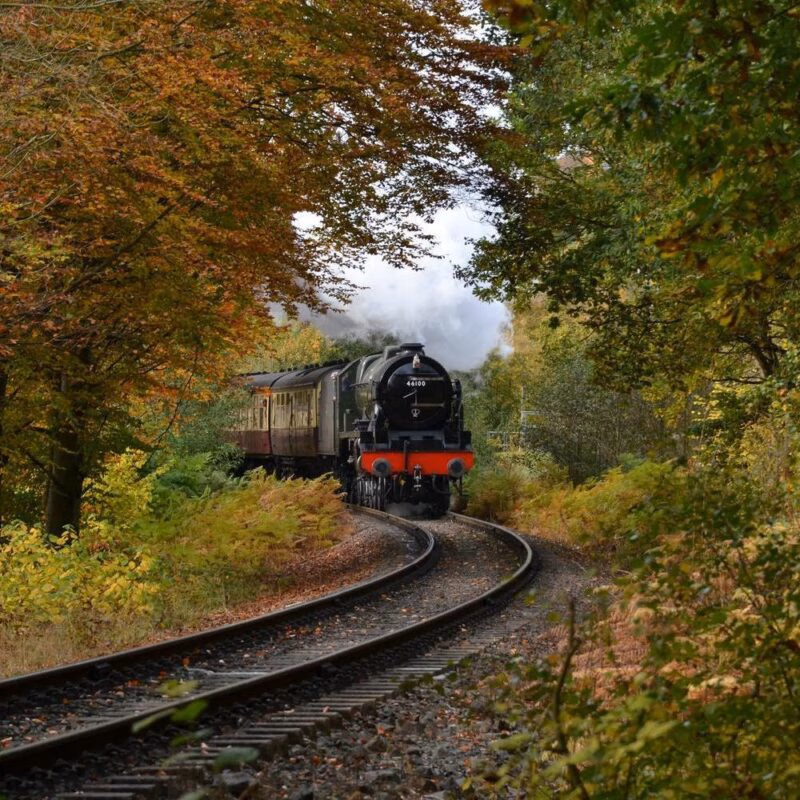 A black steam train curves through a forest tunnel of colorful autumn trees, a romantic scene from luxury Europe rail tours.